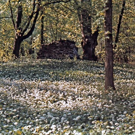 Kvarnvillan Lummelundsbruk VBY المظهر الخارجي الصورة